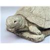 Image 4 : A PAIR OF CAST-STONE TURTLES