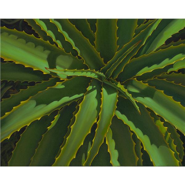 Bragg "Aloe Vera"