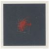 Image 2 : Apollo 13 Flown Parachute Material Signed by Lovell and Haise [Attested to as Flown by Ken Havekotte