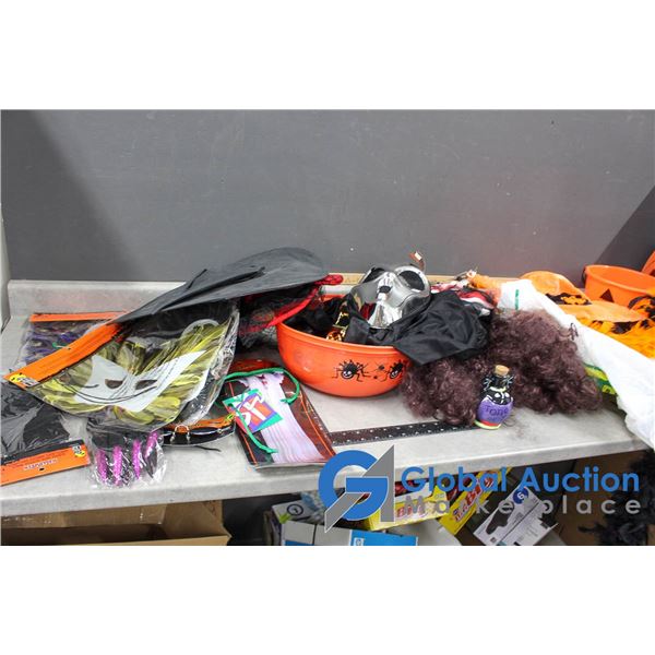 **Variety of Halloween Items - decor & Costumes/Add On's