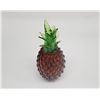 Image 2 : Pineapple by Seattle Glassblowing Studio