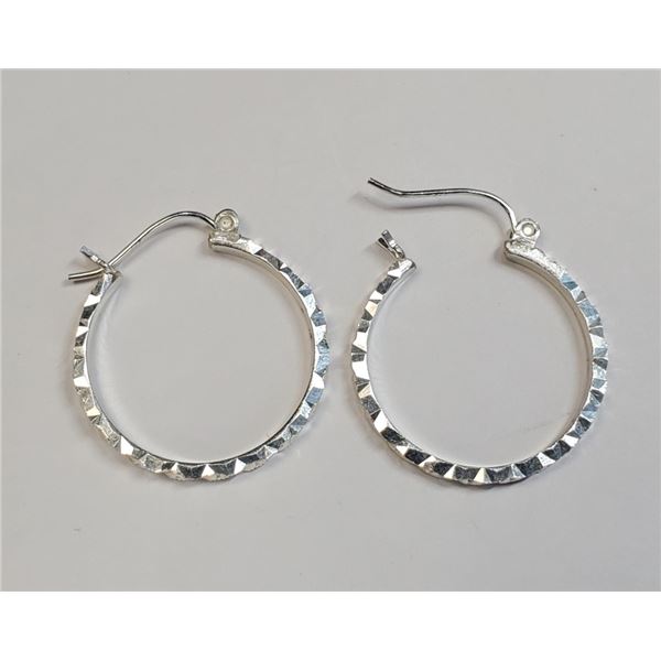 $100 Silver Earrings