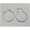 Image 1 : $100 Silver Earrings