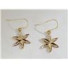 Image 1 : $450 14K  Earrings