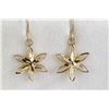 Image 2 : $450 14K  Earrings