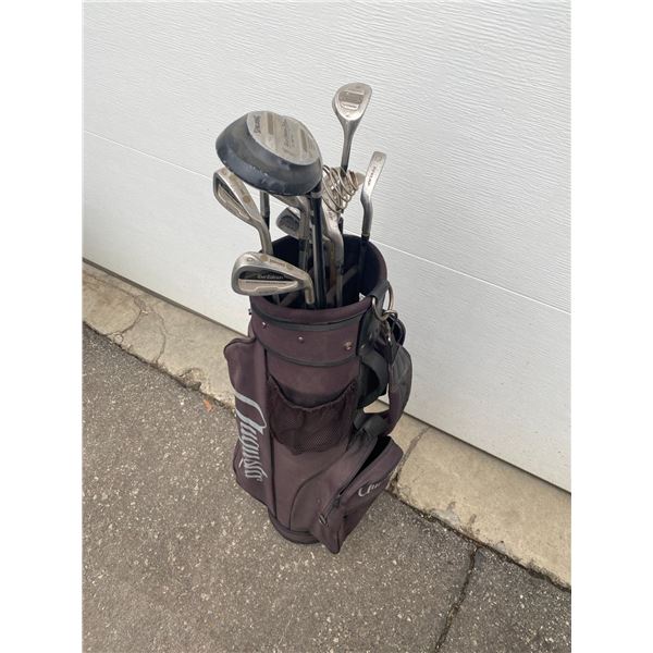Golf clubs in bag