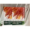 Image 1 : Oil Color pad