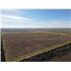 Image 9 : 157 +/- Acres of Barber Co, KS Land