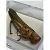 Image 2 : Large Preserved Mounted Giant Locust in Display Case