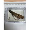 Image 3 : Large Preserved Mounted Giant Locust in Display Case