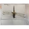 Image 2 : Large Preserved Mounted Exotic Dragon Fly in Display Case