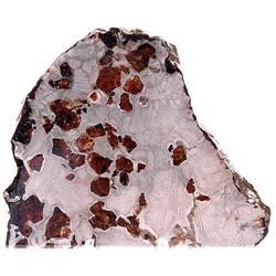 American Pallasite Brenham Meteorite