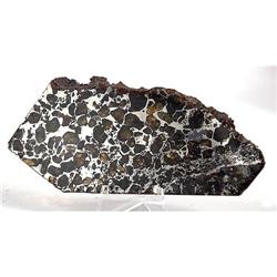 Brahin Pallasite Meteorite