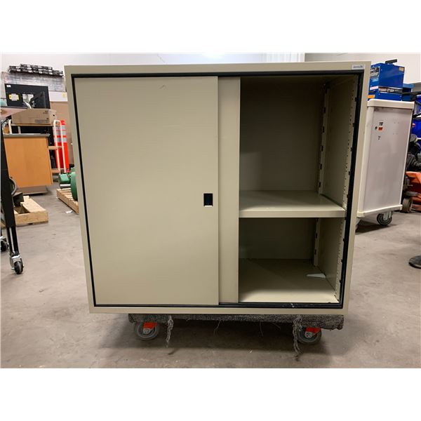 2 Door Cabinet