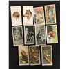 Image 1 : VINTAGE CIGARETTE CARD LOT