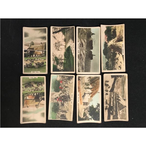 VINTAGE CIGARETTE CARD LOT