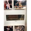 Image 4 : MICHAEL JORDAN AUTOGRAPHED AUTHENTIC FLOOR FROM CHICAGO STADIUM LTS TO 230 (UPPER DECK COA)