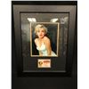 Image 1 : MARILYN MUNROE CUSTOM FRAMED DRIVERS LICENSE DISPLAY (FACSIMILE)