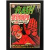 Image 1 : THE FLASH #163 (DC COMICS)