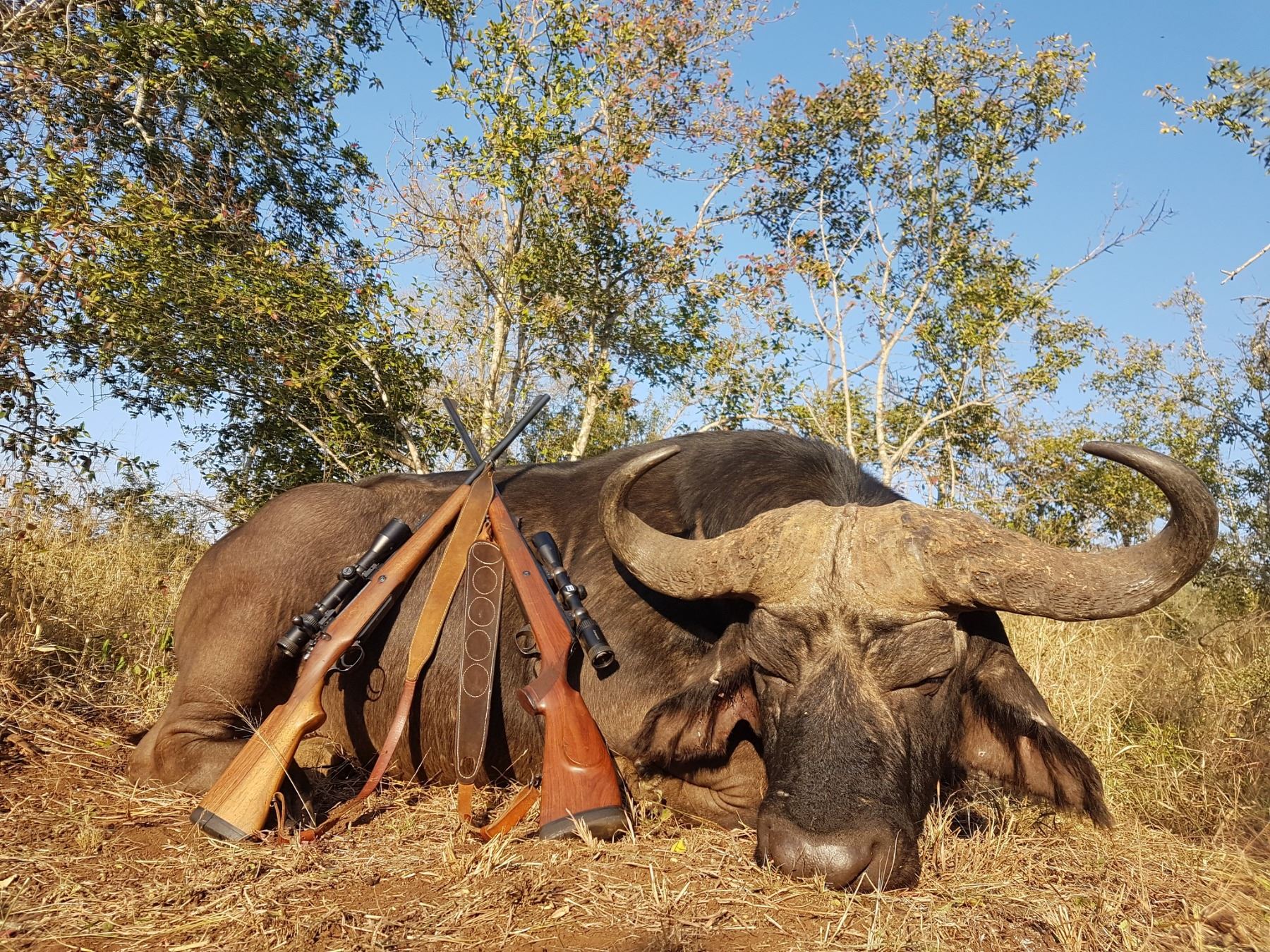 5 Day Safari for up to 3 hunters with Zeekoepan Safaris, KwazuluNatal