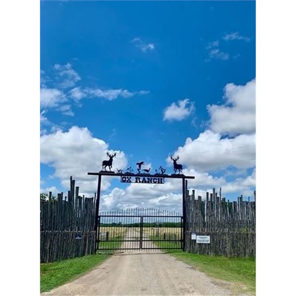 OX Ranch Texas Aoudad