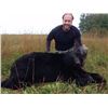 Image 2 : ONTARIO - 5 DAY BLACK BEAR HUNT FOR 1 HUNTER