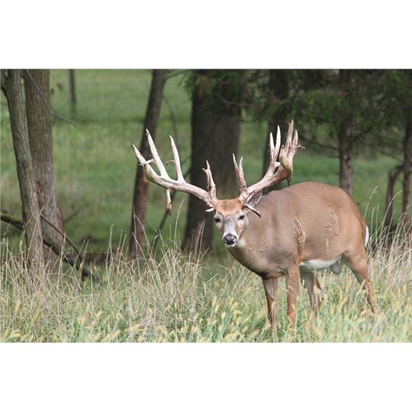OHIO - THREE DAY ESTATE TROPHY WHITETAIL HUNT FOR TWO HUNTERS