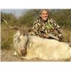 Image 3 : ARGENTINA - SEVEN DAY SAFARI RIFLE HUNT FOR 2 HUNTERS
