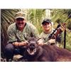 Image 10 : FLORIDA – 1.5 DAY WILD BOAR HUNT WITH BAY DOGS FOR 4 HUNTERS