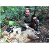 Image 4 : FLORIDA – 1.5 DAY WILD BOAR HUNT WITH BAY DOGS FOR 4 HUNTERS