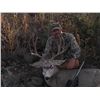 Image 2 : ARIZONA - 5 DAY MULE DEER HUNT FOR 2 HUNTERS