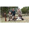 Image 2 : TEXAS - 3 DAY/2 NIGHT TROPHY EXOTICS HUNT FOR 2-5 HUNTERS