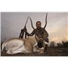 Image 2 : TEXAS - 3 DAY/2 NIGHT TROPHY EXOTICS HUNT FOR 2 HUNTERS