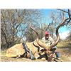 Image 4 : TEXAS - 3 DAY/2 NIGHT TROPHY EXOTICS HUNT FOR 2 HUNTERS
