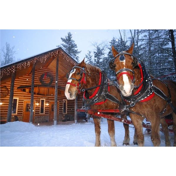 MICHIGAN - 2 NIGHT WHIRLPOOL SUITE ELK VIEWING RIDE & DINNER FOR 2