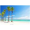 Image 2 : CARIBBEAN - 5 NIGHT ALL-INCLUSIVE PACKAGE FOR 2 ADULTS