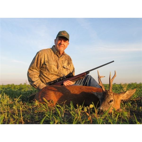 SERBIA – ROE DEER HUNT WITH RIFLE FOR 2 HUNTERS
