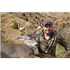 Image 2 : ARIZONA - 5 DAY COUES DEER HUNT FOR 2 HUNTERS