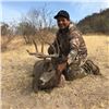 Image 4 : ARIZONA - 5 DAY COUES DEER HUNT FOR 2 HUNTERS