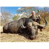 Image 2 : MOZAMBIQUE - TEN DAY CAPE BUFFALO RIFLE HUNT FOR 1-4 HUNTERS