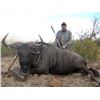 Image 4 : SOUTH AFRICA - 10 DAY PLAINS GAME RIFLE HUNT FOR 2 HUNTERS