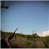 Image 4 : ARGENTINA - THREE DAY DOVE HUNT FOR 2 HUNTERS