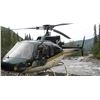 Image 2 : 1-day Helicopter Fishing Trip on Beattie Lake, BC for (4) passengers in Astar B2