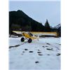 Image 2 : Piper Super Cub Flight Experience - Lower Mainland