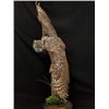 Image 1 : Great Horned Owl Open Wing Taxidermy Mount