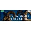 Image 2 : BCWF - Lifetime Membership