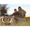 Image 2 : 2x Warthog, 2x Impala, 2x Kudu with Bosveld Jacobs Safaris