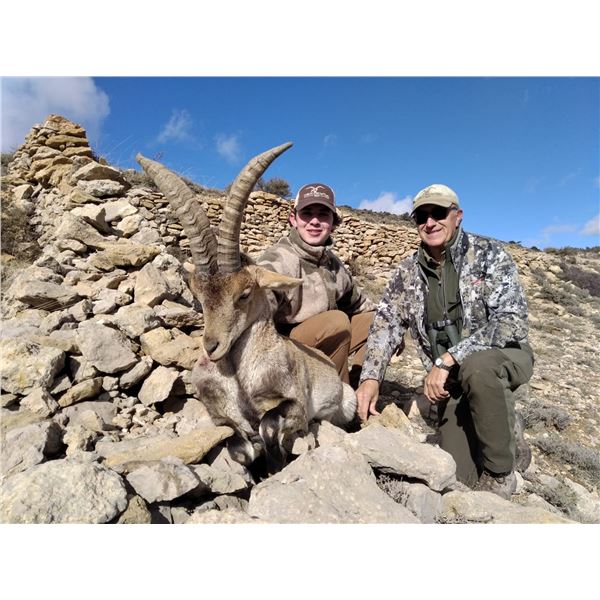 Management Beceite Ibex in Spain
