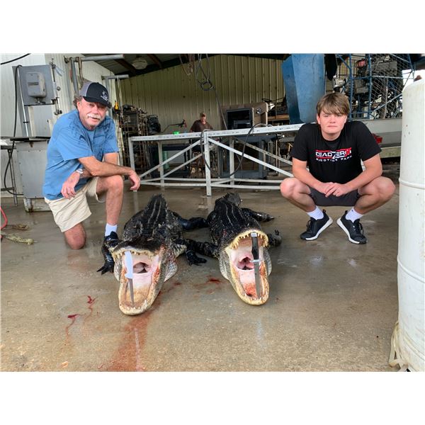 Florida Alligator Hunt