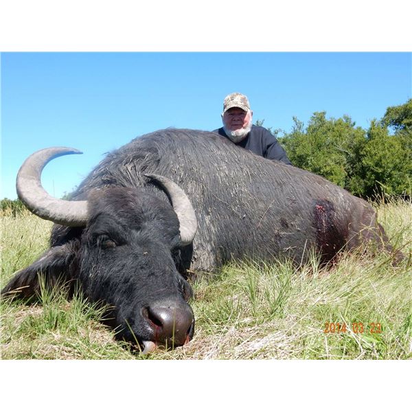 Water Buffalo Hunt in Argentina
